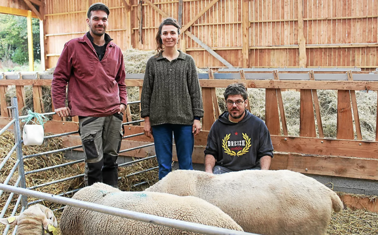 Lire la suite à propos de l’article Élevage de brebis : près de Lannion, une installation pas comme les autres