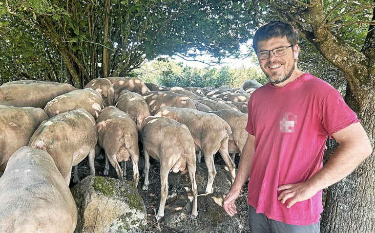 Lire la suite à propos de l’article « On guette le thermomètre » : les éleveurs du Trégor sur le qui-vive avec les fortes chaleurs