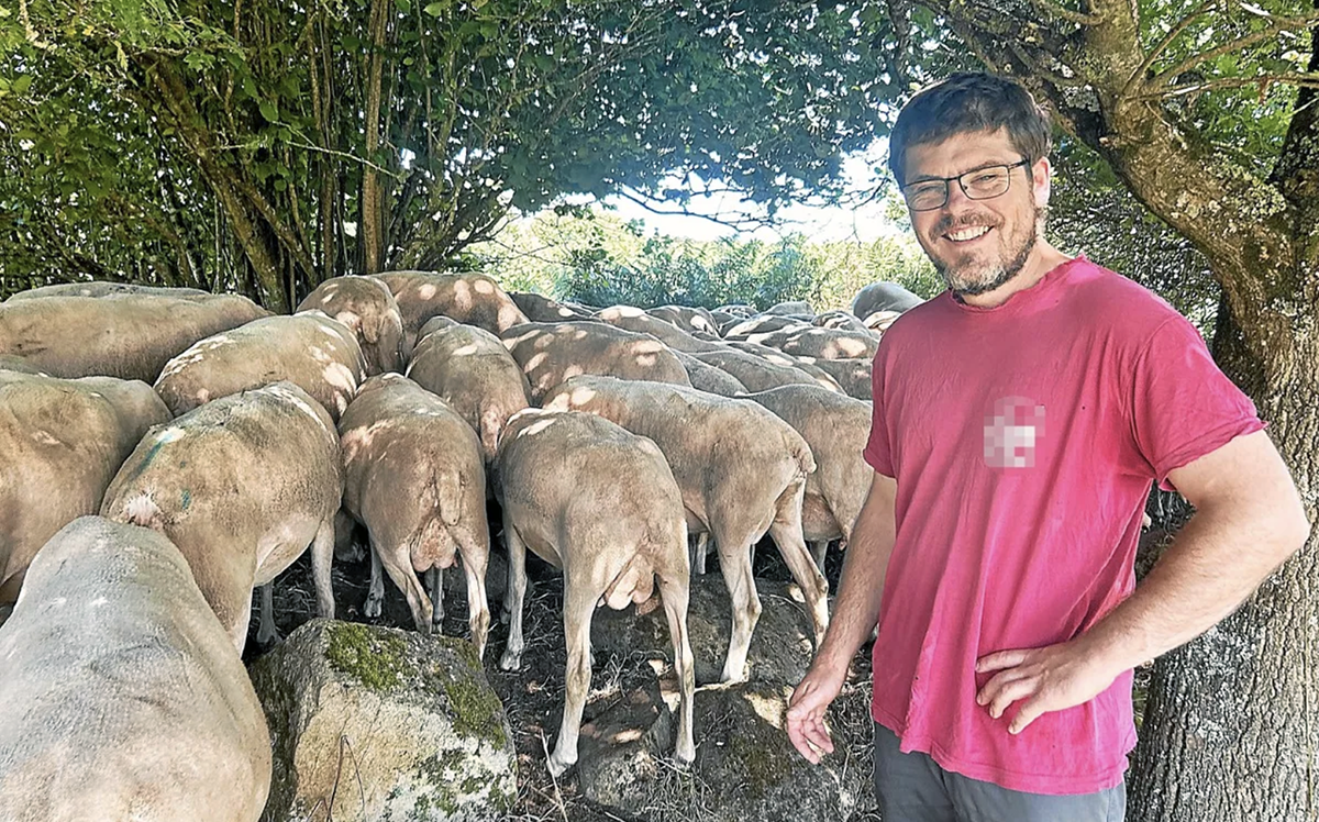 You are currently viewing « On guette le thermomètre » : les éleveurs du Trégor sur le qui-vive avec les fortes chaleurs