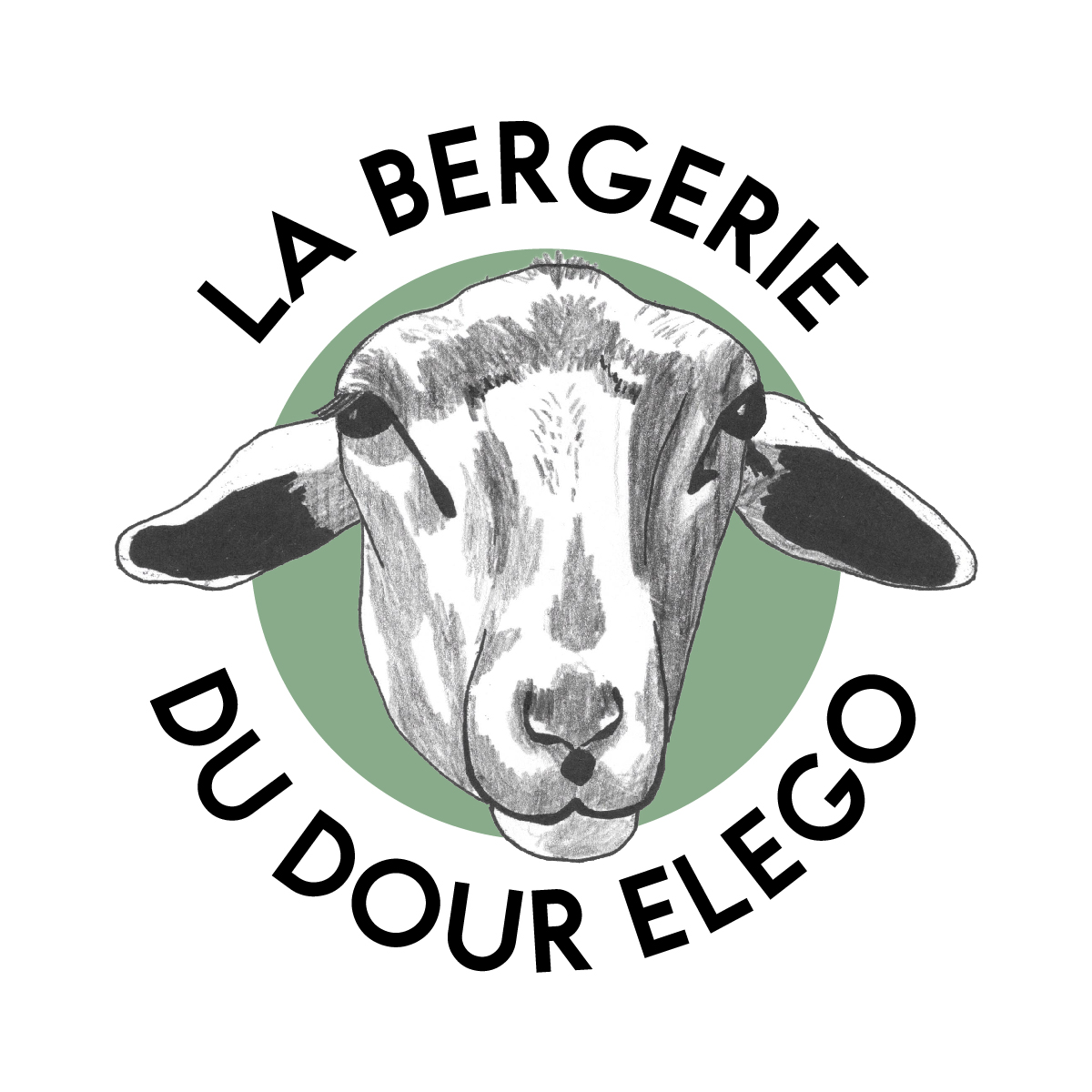 La Bergerie du Dour Elego – Yaourts et Fromages Bio de Brebis